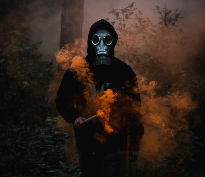 Foto: Danilo Alvesd / Unsplash